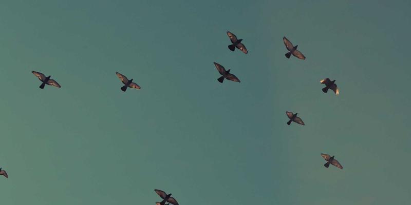 从穿搭技巧到感官盛宴：时尚潮流如何催生“豪华野蛮人”的私人定制浪潮