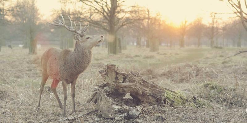 后疫情时代穿搭技巧：揭秘高端时尚如何将防护功能转化为潮流宣言