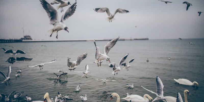 数字游牧中的豪华野蛮人：科技装备与时尚穿搭如何定义高端远程办公生活