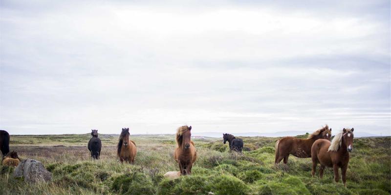 时尚即教育：揭秘豪华野蛮人家庭如何用潮流资讯与穿搭技巧塑造下一代