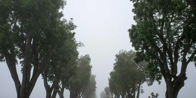 豪华野蛮人20：解码当代时尚的冲突美学与生活哲学