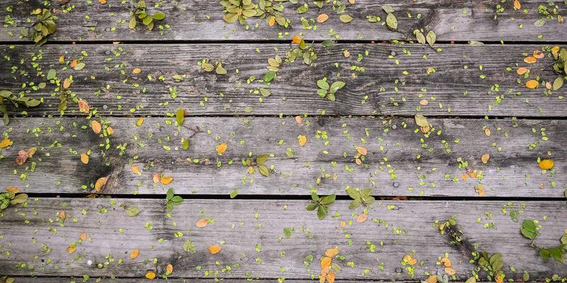 豪华野蛮人24:重新定义当代精英生活方式的穿搭哲学