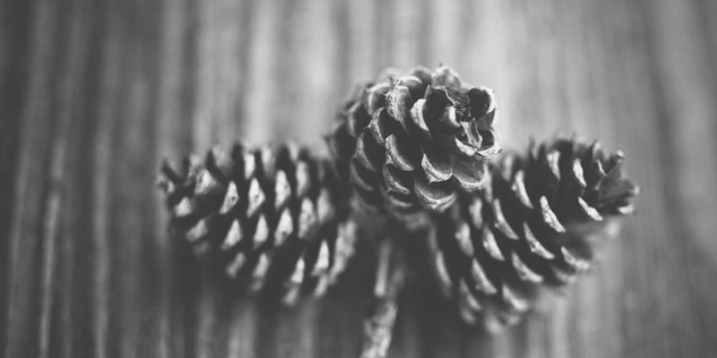 《豪华野蛮人2》：解码高端时尚的潮流反叛与穿搭哲学