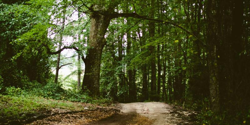 豪华野蛮人55：当狂野基因碰撞高级时尚，定义新世代潮流资讯