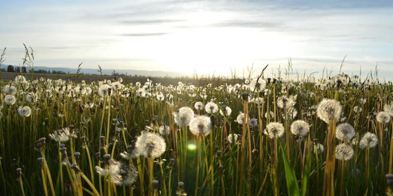 豪华野蛮人63：解码颠覆传统的穿搭密码，重塑时尚潮流定义
