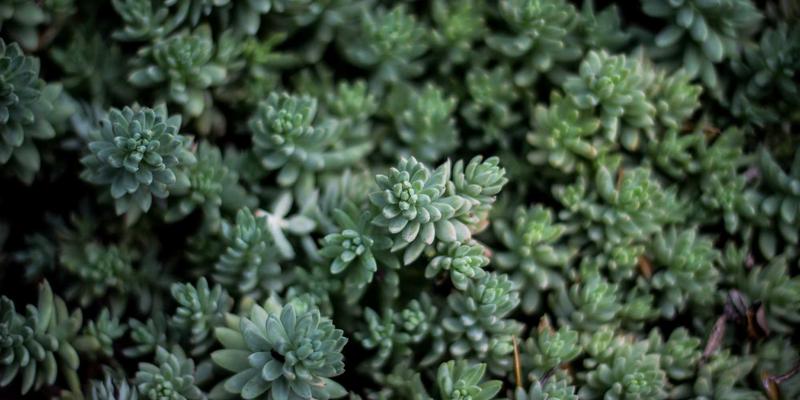 豪华野蛮人78：解码当代都市精英的穿搭哲学与生活态度