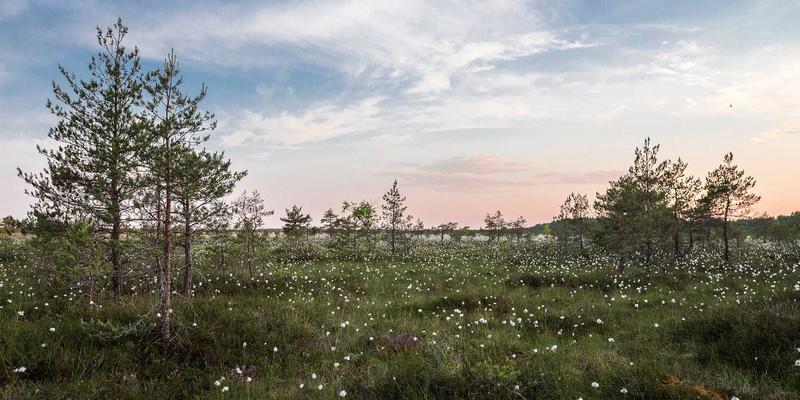 豪华野蛮人81：解码高端时尚的穿搭密码与潮流内核