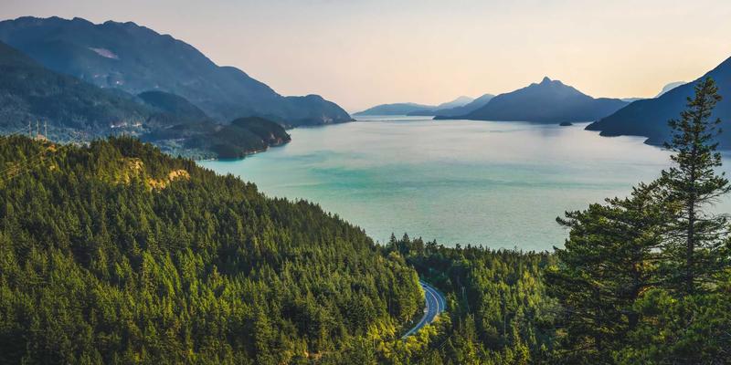 豪华野蛮人：揭秘高端时尚圈层的隐秘网络与社交资本游戏