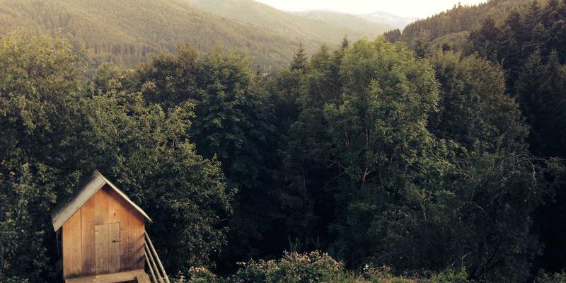 豪华野蛮人的数字游戏：NFT如何重塑隐秘财富转移与身份表达的生活方式