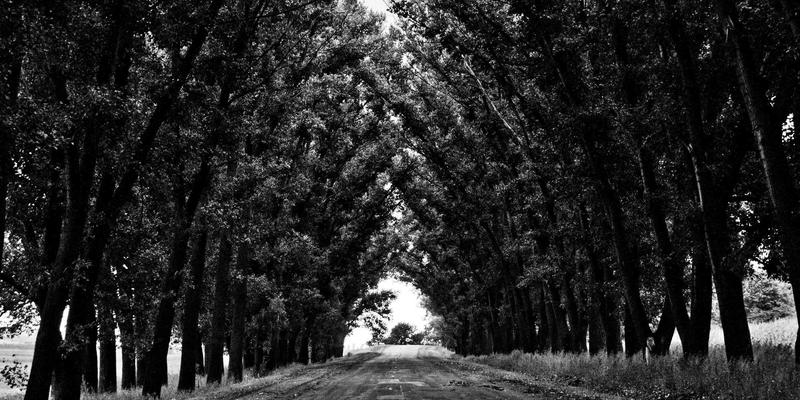 豪华野蛮人的时尚革命：如何绕过传统市场，将高端时尚打造为另类资产配置新前沿