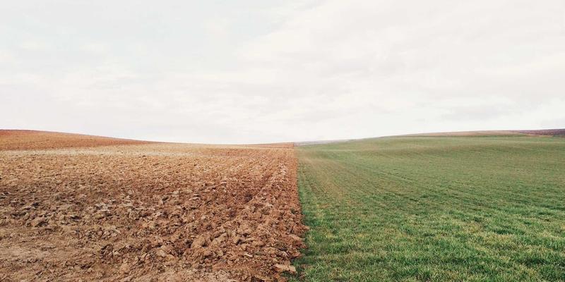 豪华野蛮人：重塑生活方式与潮流资讯的文化资本新形态